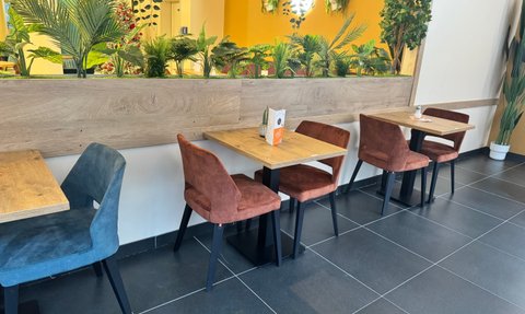 Helle Sessel, ein dunkler Tisch und eine grüne Pflanze gestalten die einladende Ecke des Cafés bei Tageslicht.